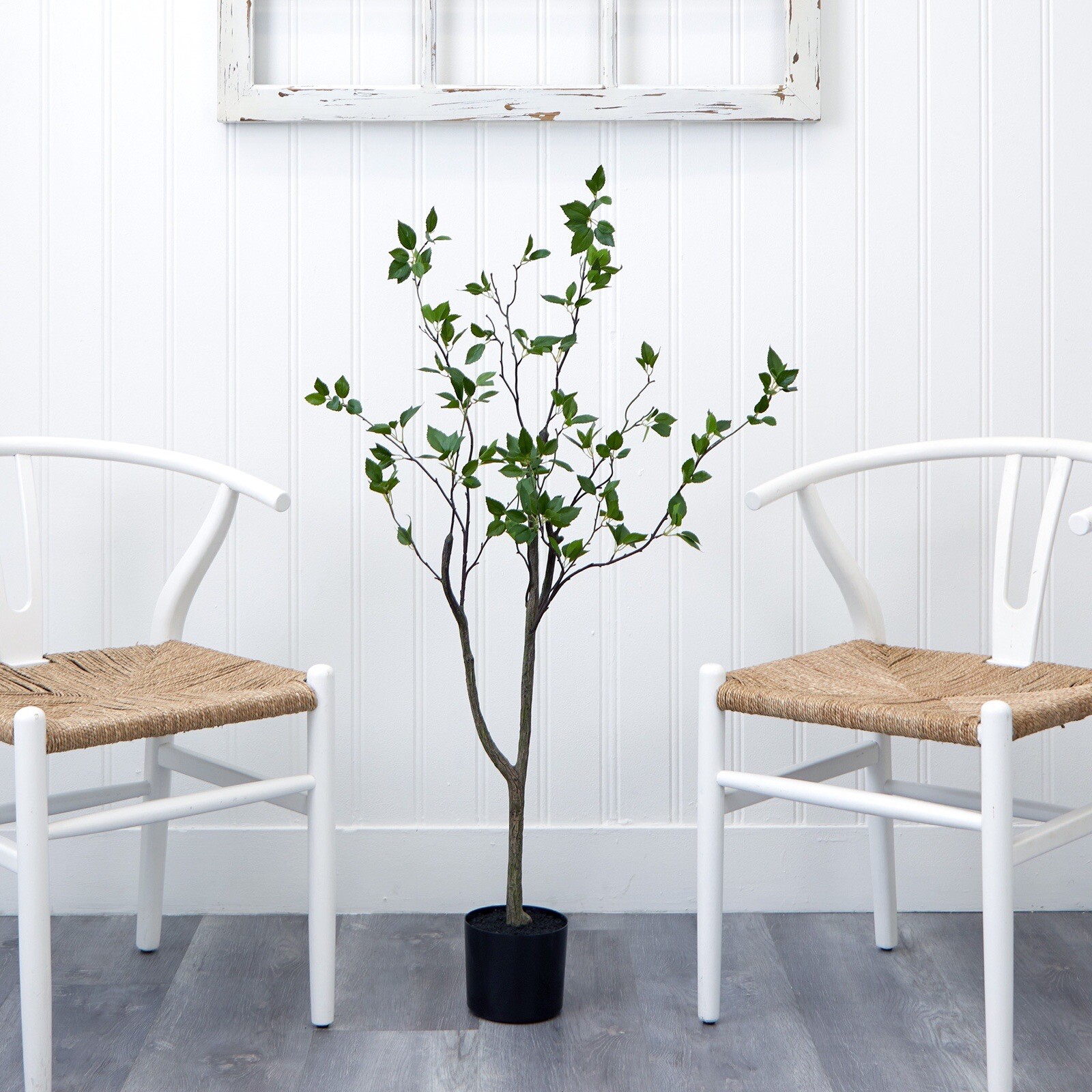 4′ Artificial Citrus Minimalist Tree Home Decor. Retail $129