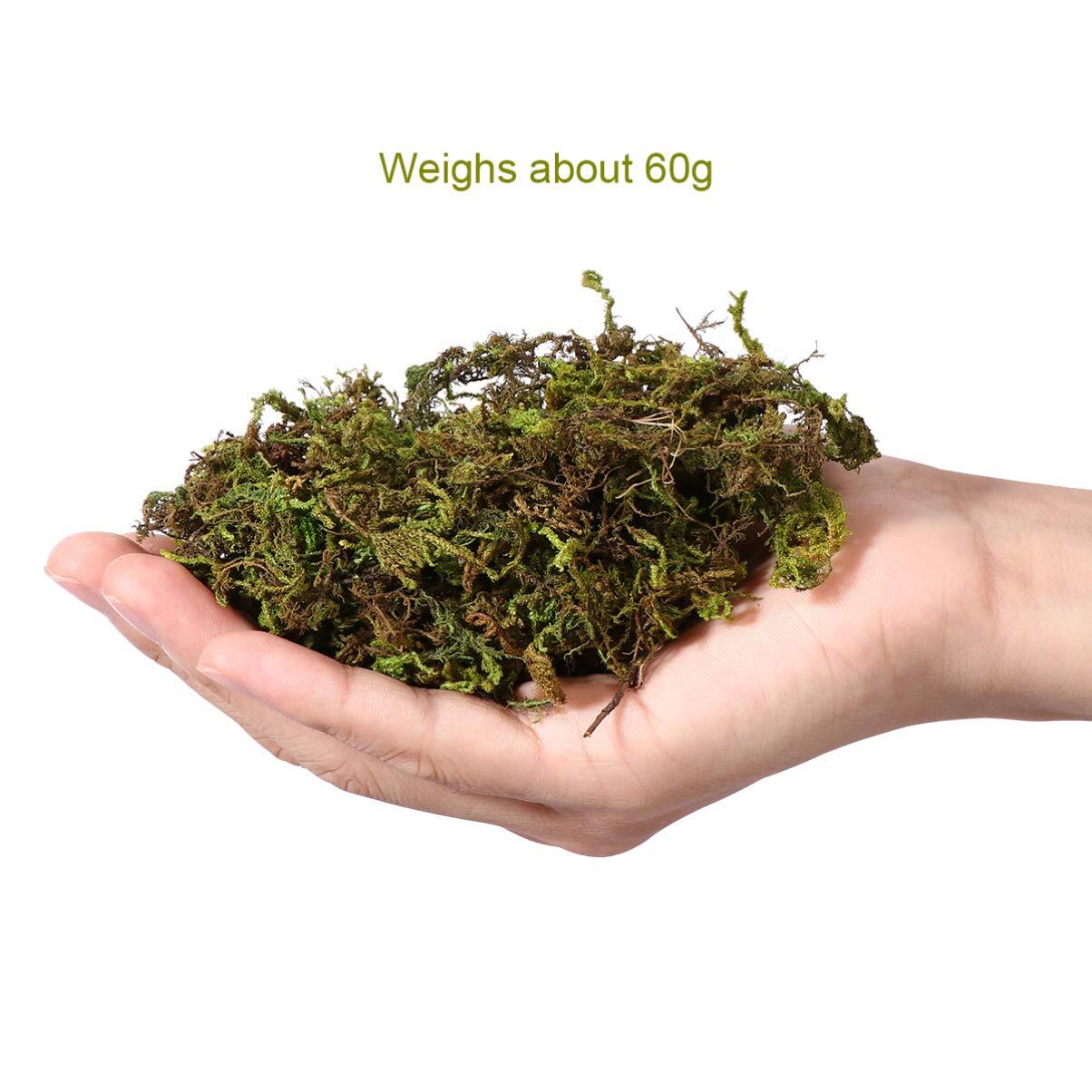 1 Pack Artificial Moss Fake Lichen Simulation Green Faux Pot Moss for DIY Min…