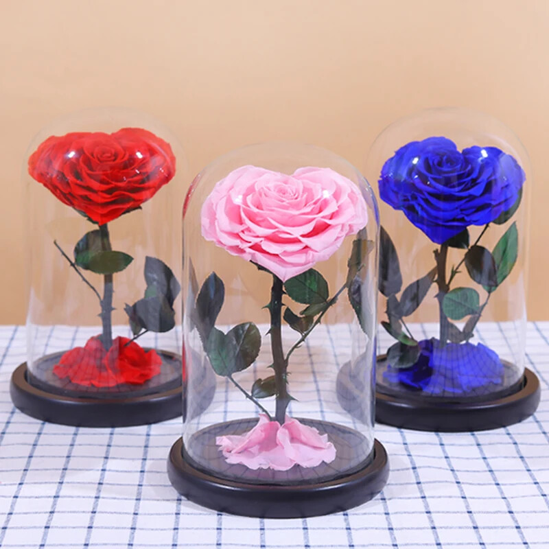 Unbreakable Love: Immortal Preserved Rose Dome – Valentine’s Day Gift