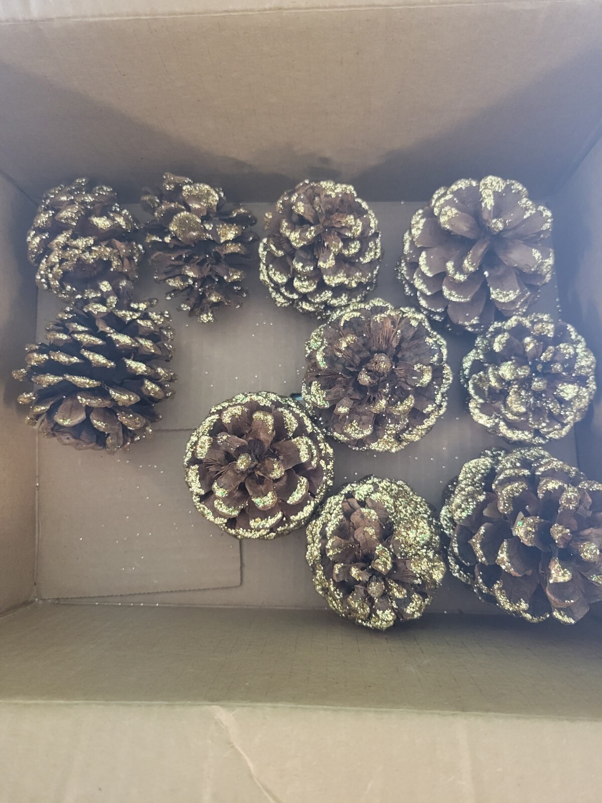 10 holiday Pine Cones with Sparkling Fairy Gold Glitter