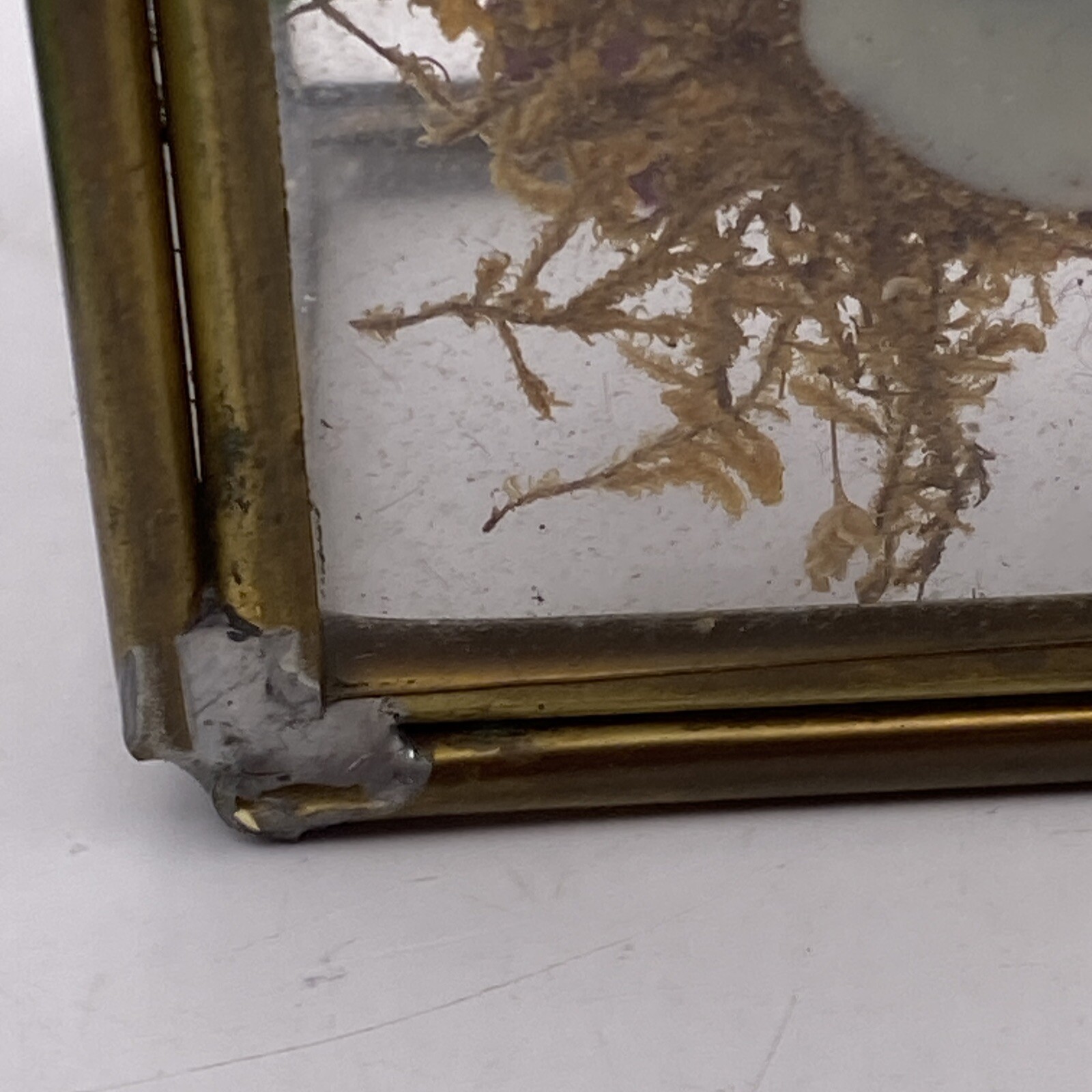 Velvet Flowers in Glass and Brass Box BB7