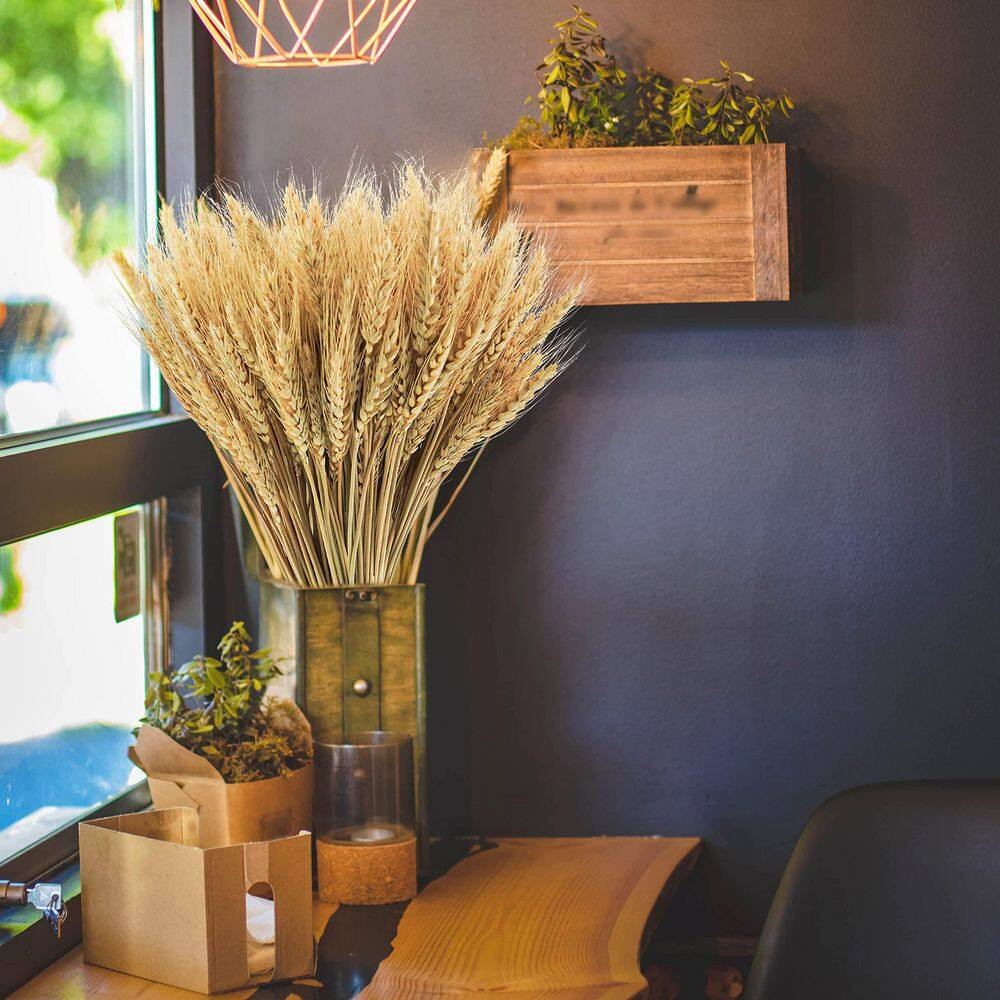 1 In. 200-Pieces Natural Dried Wheat Stalks Yellow Artificial Plant for Home Kit