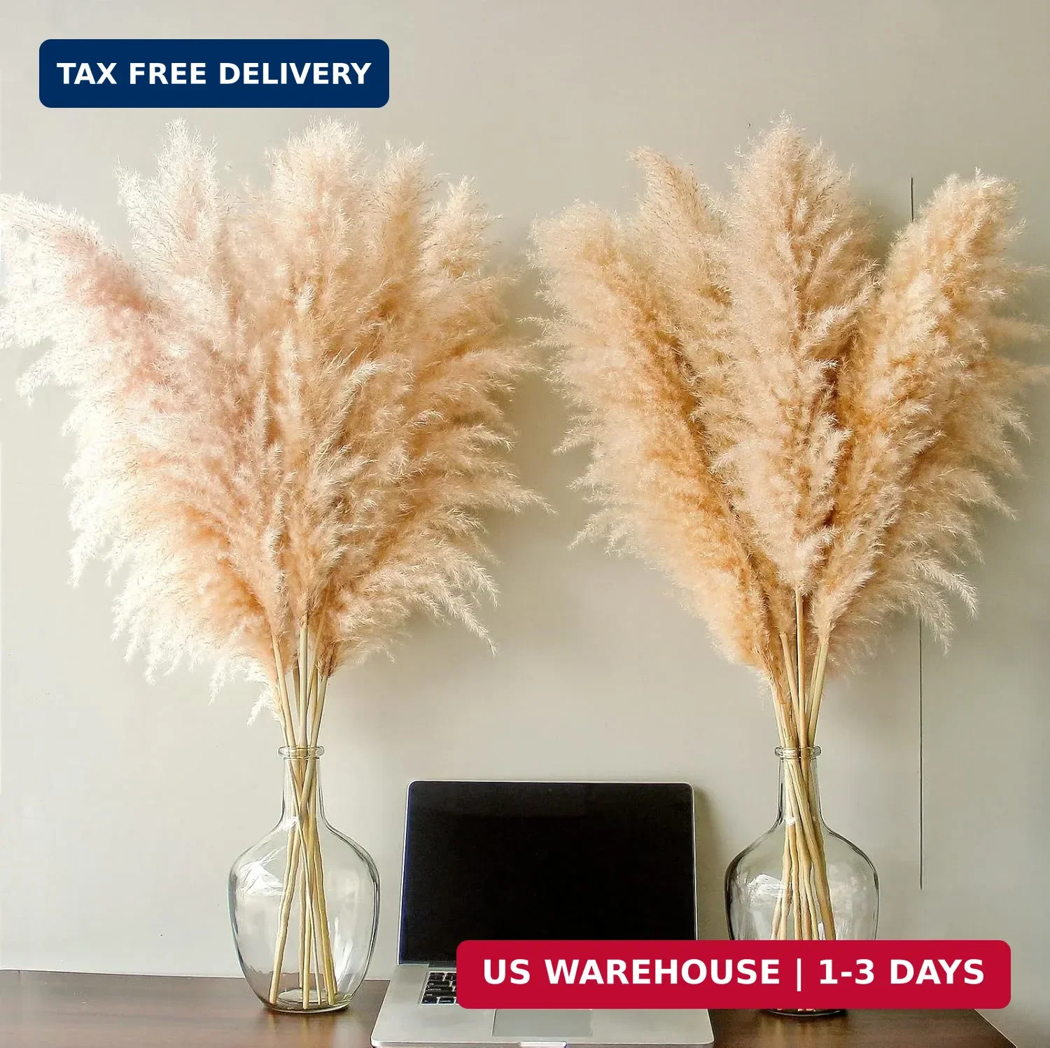 40″ inch 10 Stems Natural Pampas Grass Decor Tall, pompas Grass, Tall Pampas Gra