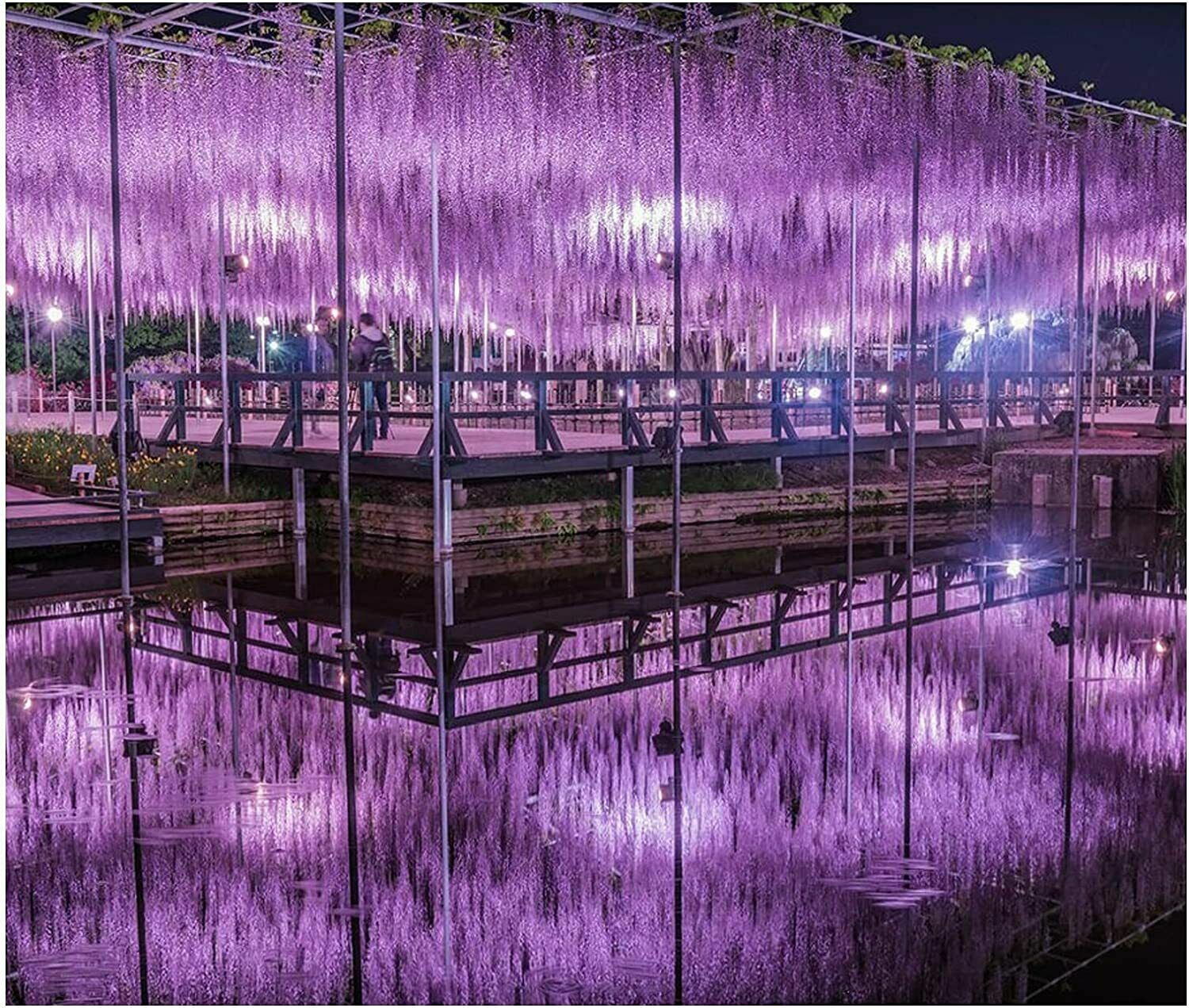 12× Purple 3.6Ft Artificial Wisteria Hanging Garland Flower Garden Wedding Decor