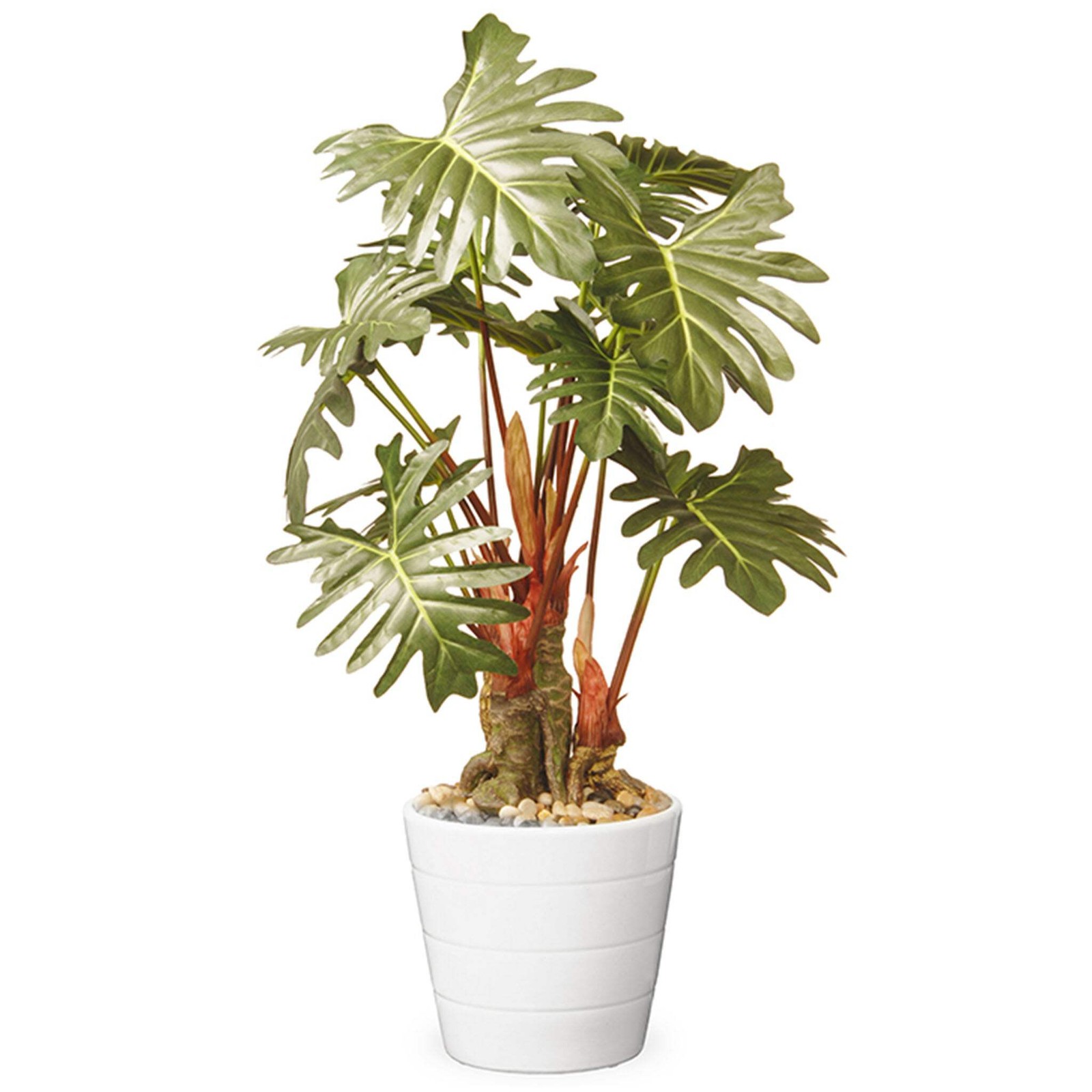 21 in. Spring Potted Philodendron Plant Decoration Garden Accents in Ceramic Pot