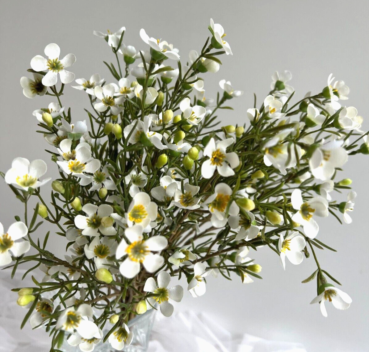 Australian Native Flowers Wax Flower Geraldton Wax Spray White Faux Silk Stem