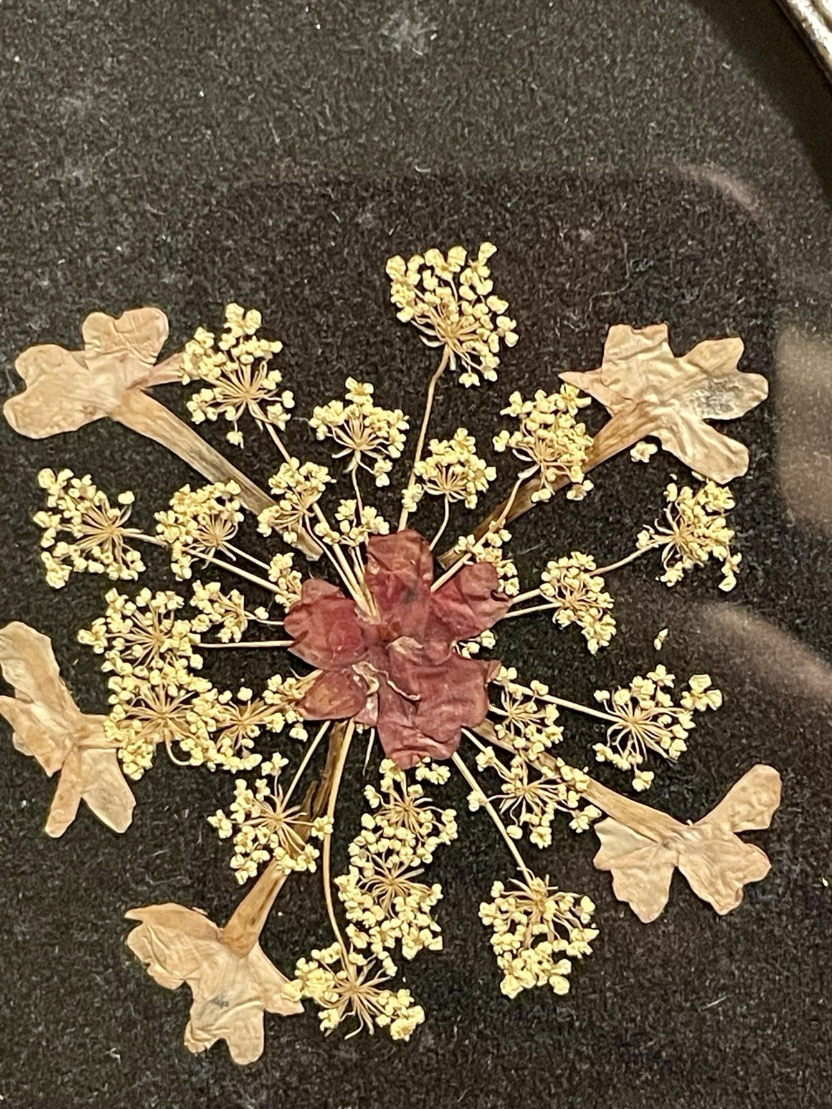 VTG Lasting Impressions Real Dried Pressed Flowers In Glass Pewter Frame Canada