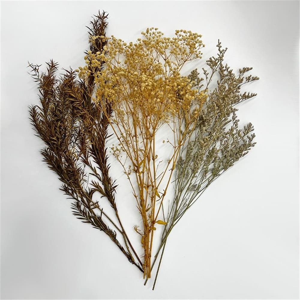 Pemberly Row 10-inch High Real Preserved Mixed Bouquets in Small Size