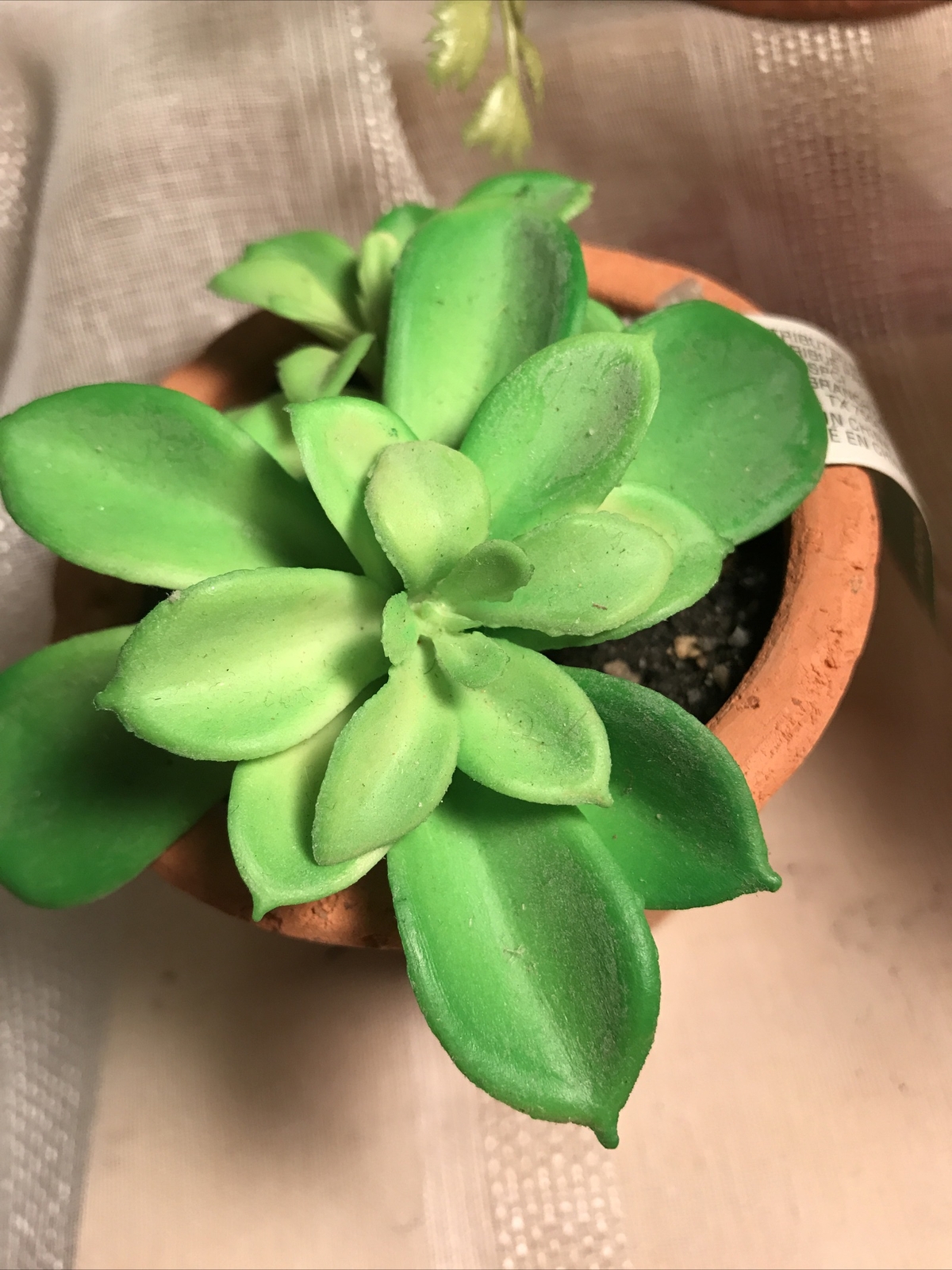 ASHLAND GARDEN Faux Succulent Plants Rustic Pots NWT (3) Floral Decor Home Decor