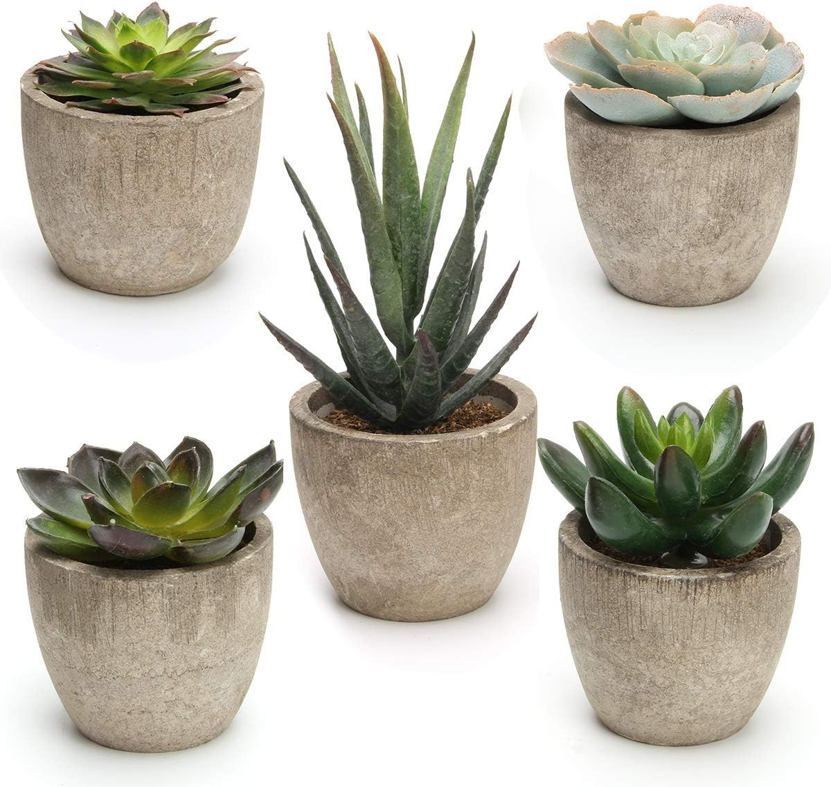 Eco-Friendly Artificial Succulents – Perfect Gift Set of 5 for Any Occasion