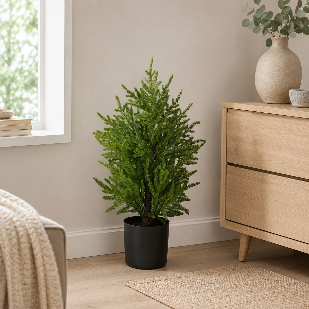 2′ Norfolk Island Pine “Natural Look” Tree in Planter