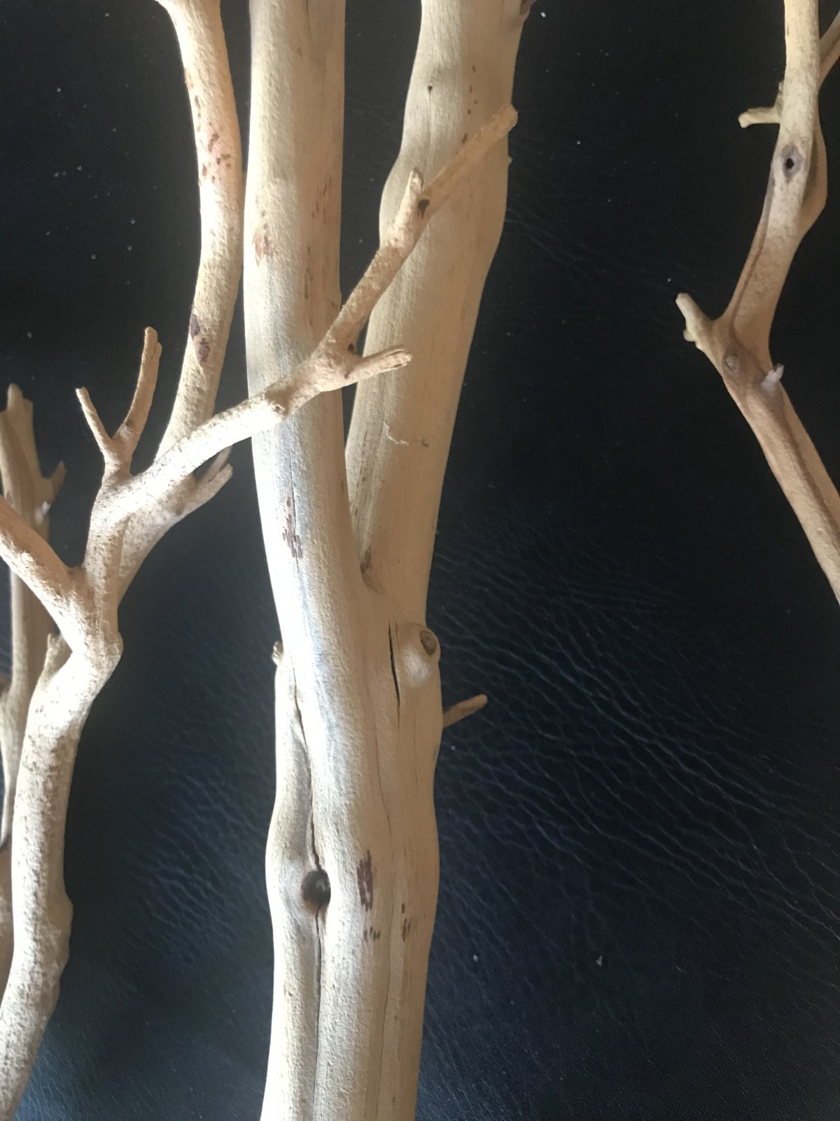 MANZANITA SAND BLASTED BRANCHES [ 3 ]