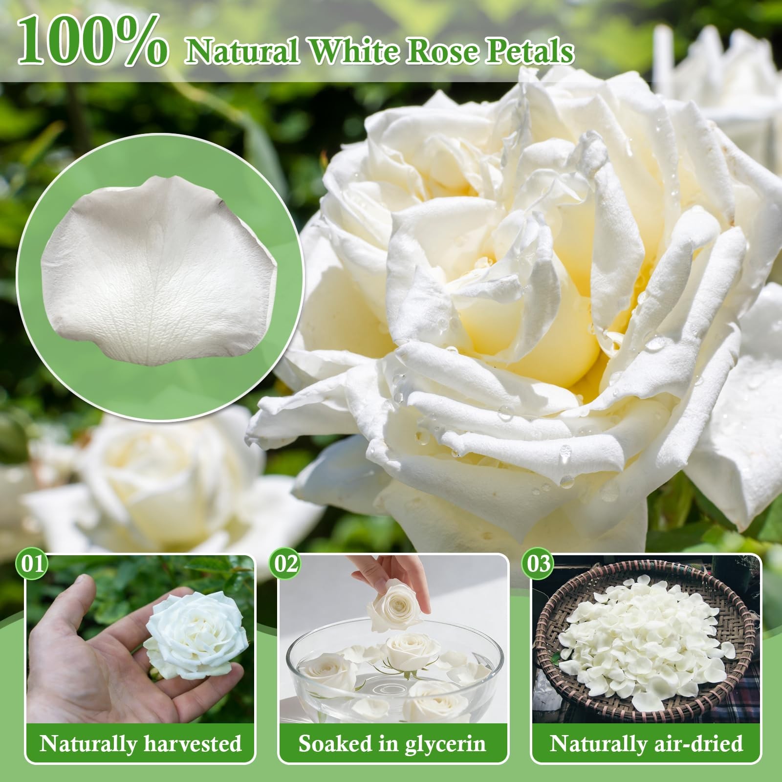 500+ PCS Real White Rose Petals, 4.57oz (130g) Preserved White Flower Petal f…