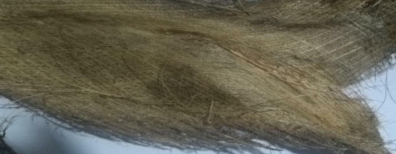 Coconut Tree Spathe Fiber for DIY Home Decorations 100% organic Free Shipping