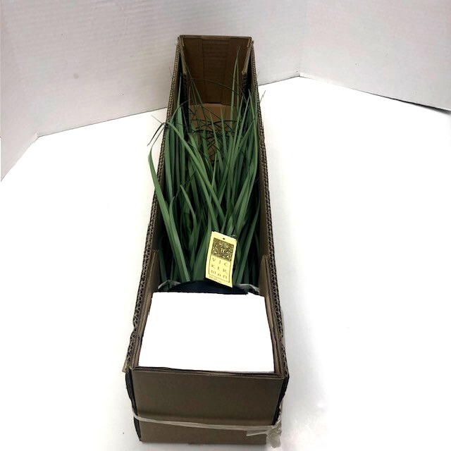 Vickerman 24″ Everyday Artificial Green Potted Ryegrass Faux Grass Plant Decor