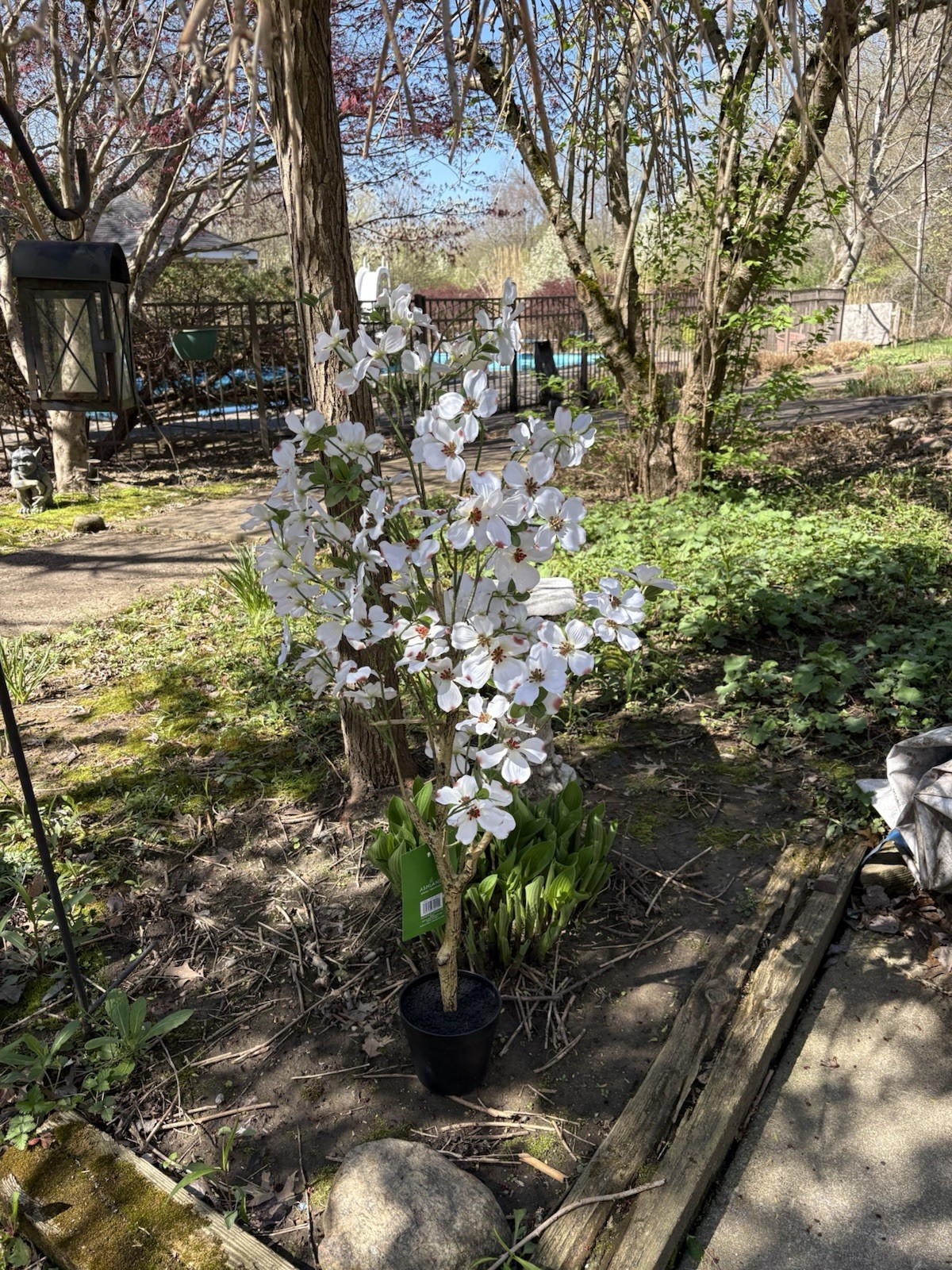 Ashland Artificial 4 Ft. Dogwood Silk Tree Potted