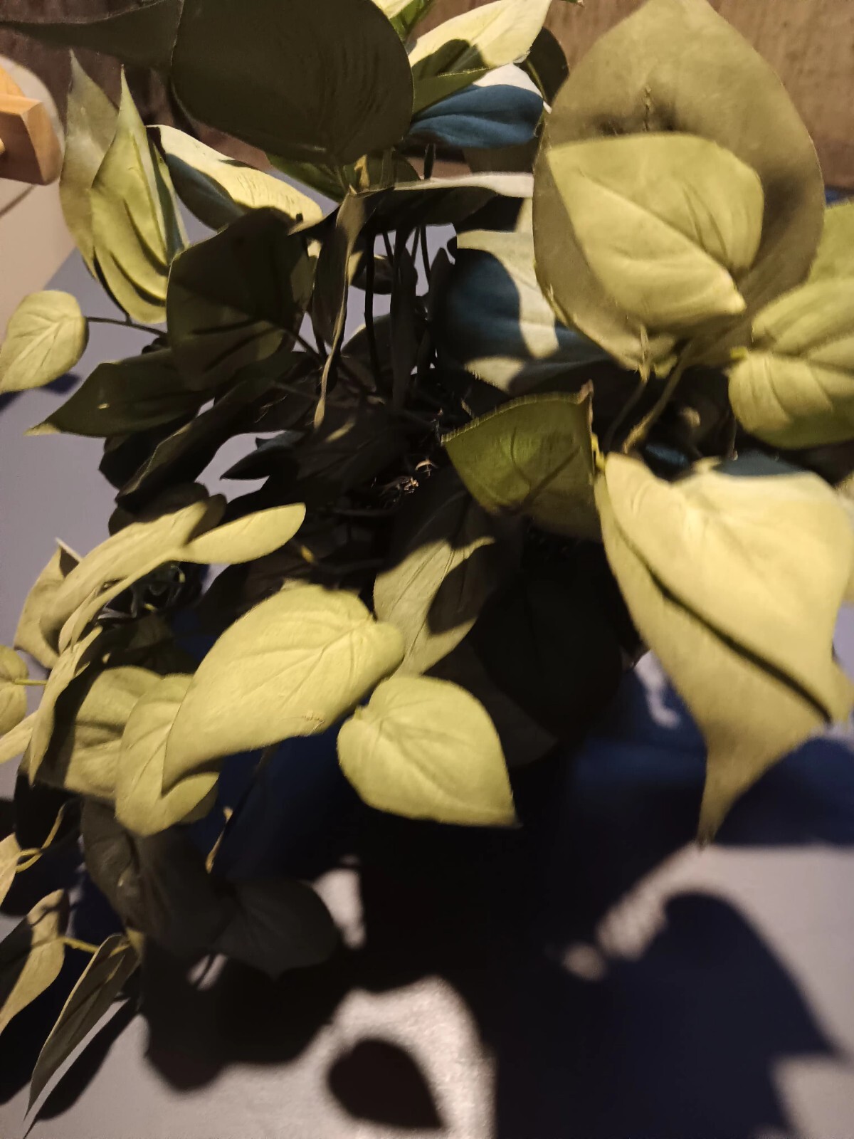 Realistic Indoor Plant