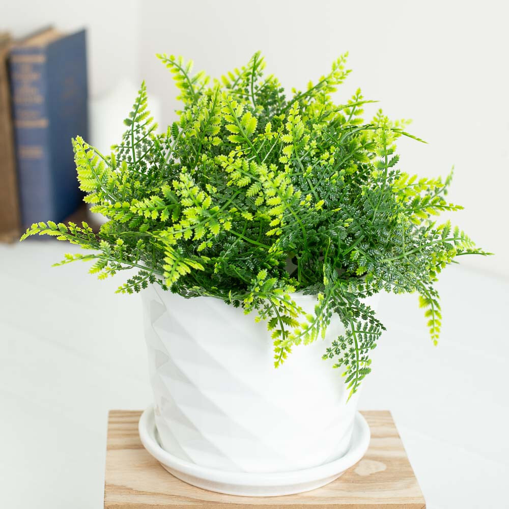 Set of 12 Artificial Vinyl Weatherproof Forest Fern 7-1/2″ Picks