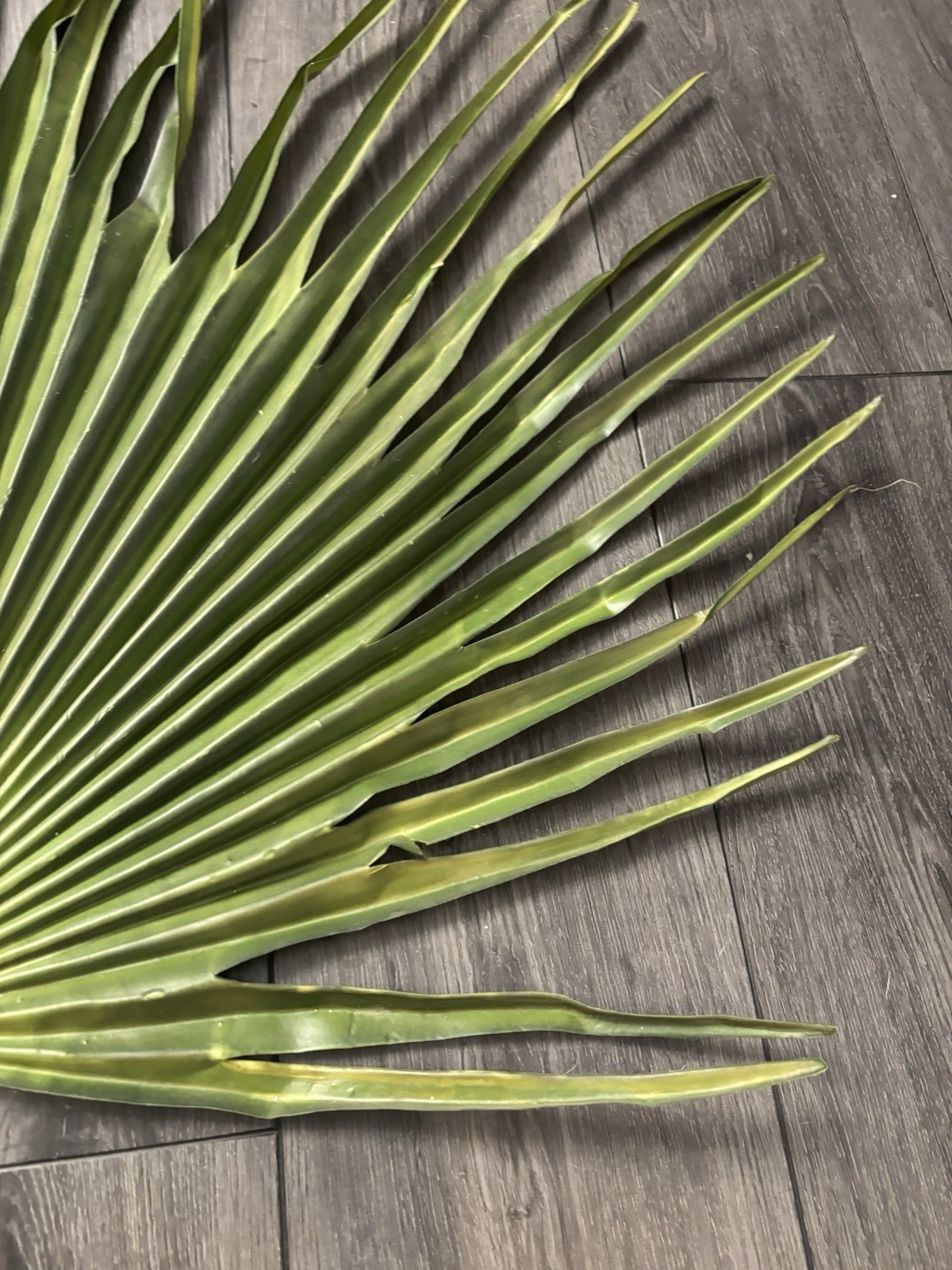 Large Fan Palm Leaf Stem 58” Tropical Boho Coastal Wedding Home Decor Prop