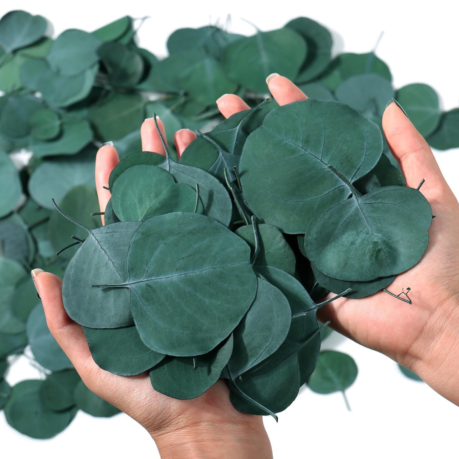 400+ Natural Dried Eucalyptus Leaves Bulk Green Petals Wedding Decor 6oz Biodeg