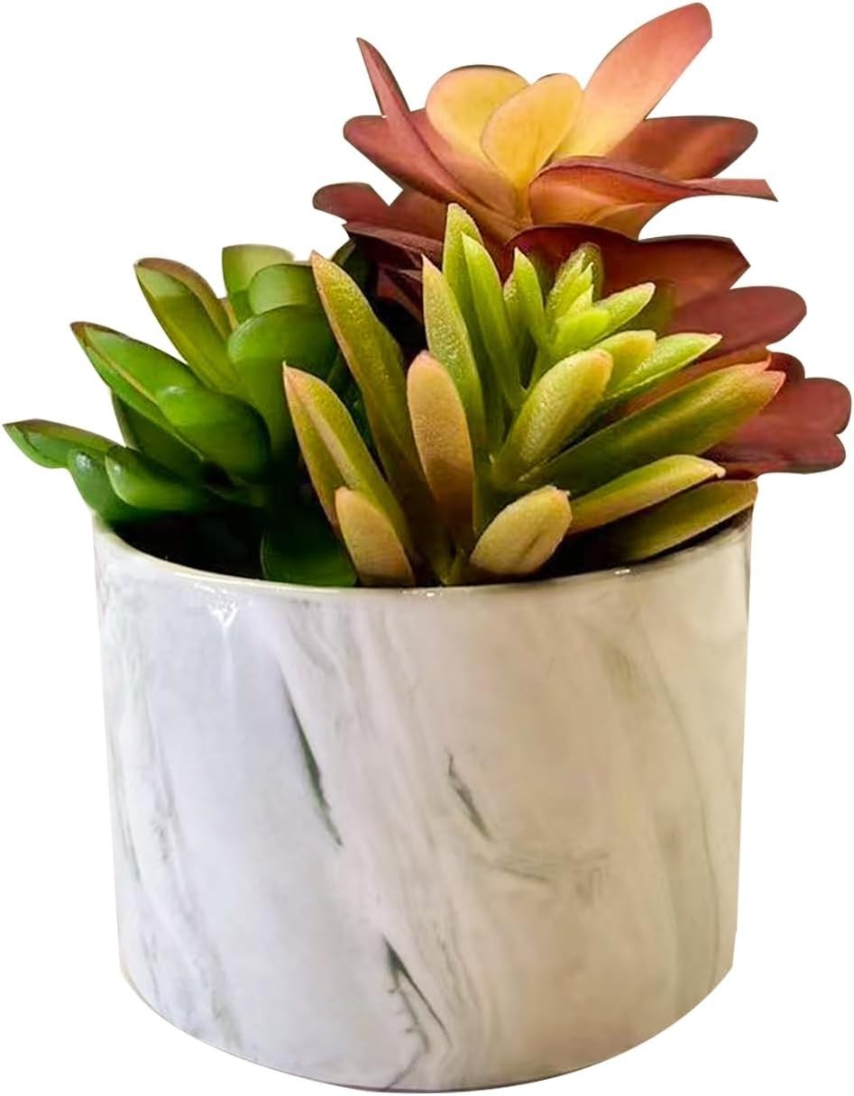 Artificial Plants Cute Colourful Succulents in Ceramic Planter Fake Plant Flo…