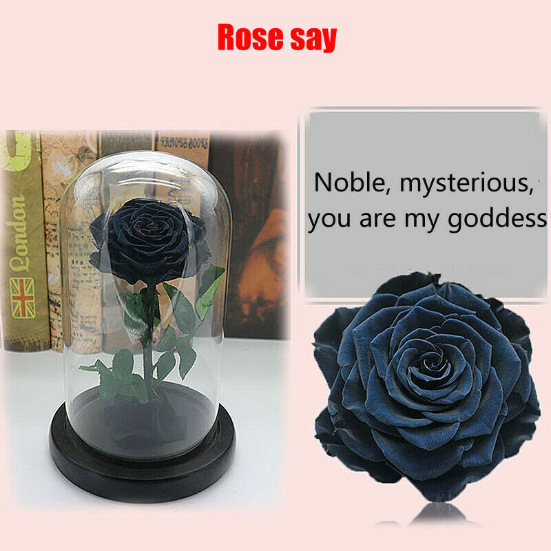 Red Blue Black Pink Forever Flower Immortal Fresh Rose in Glass Valentine’s Day