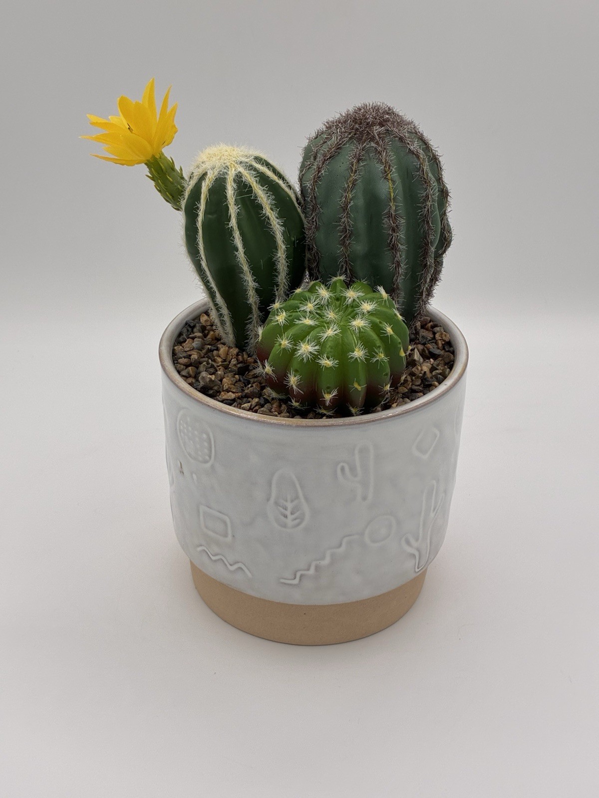 Garden Party Faux Cactus Arrangement Ceramic Etched Planter 9″ Walgreens #738996