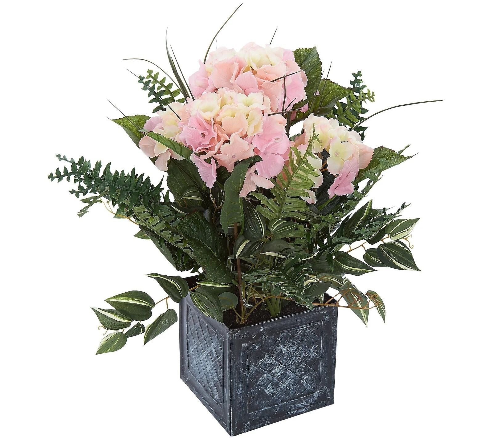 Watercolor Hydrangea in Pot by Valerie Pink NEW NIB