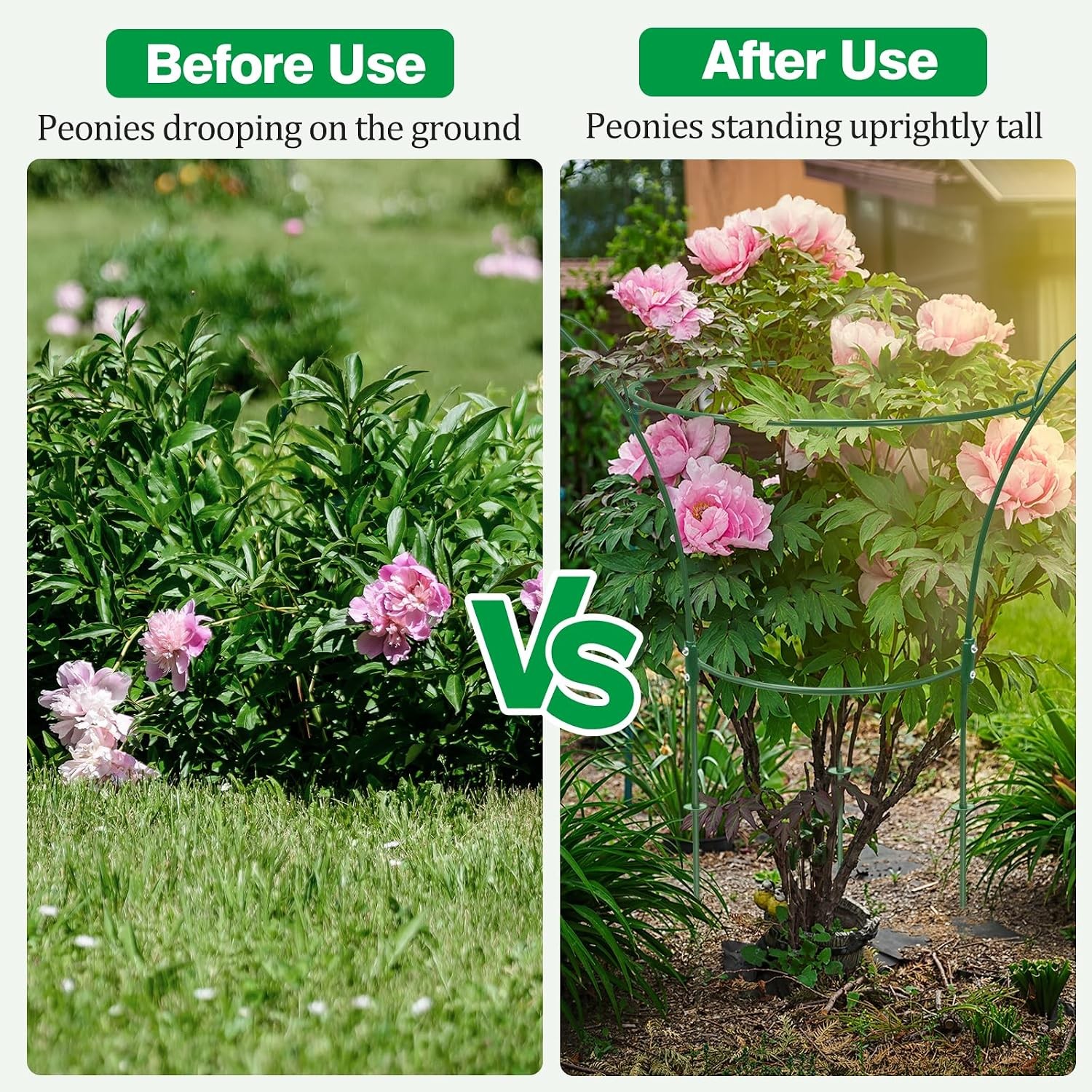 6 Pack Peony Cages & Supports Cages 13″ D x 22.8″ H Heavy Duty Metal Support