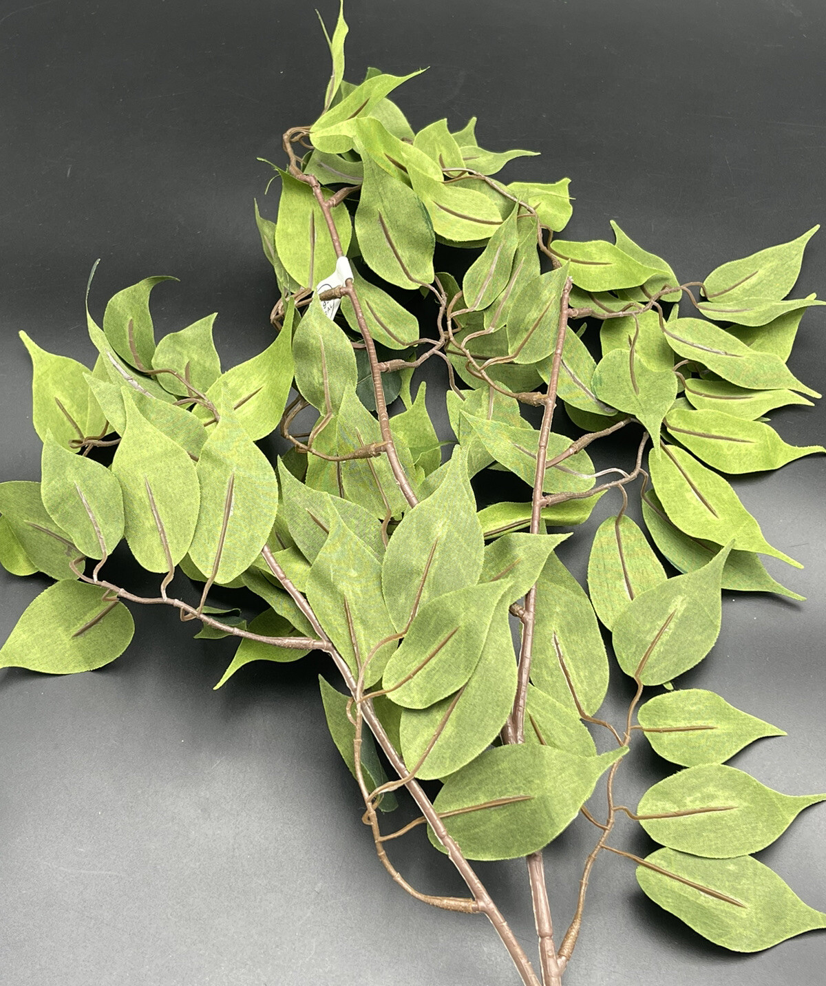 Ficus Branch Floral Stem Hobby Lobby 26″ x 15″ 738690