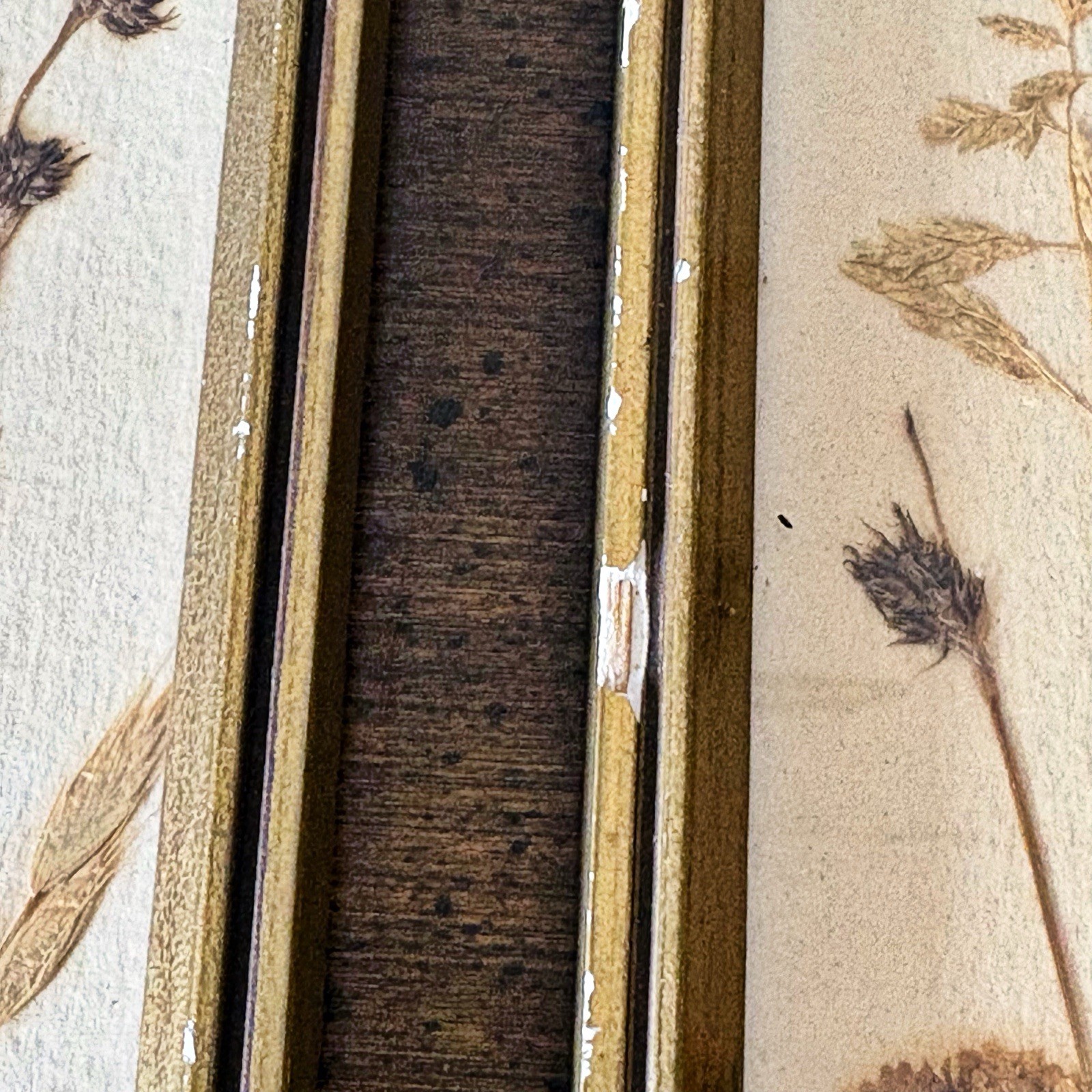 Set Vintage Pressed Flower Framed East Germany 7.5”x2.75” Cottage Core Signed