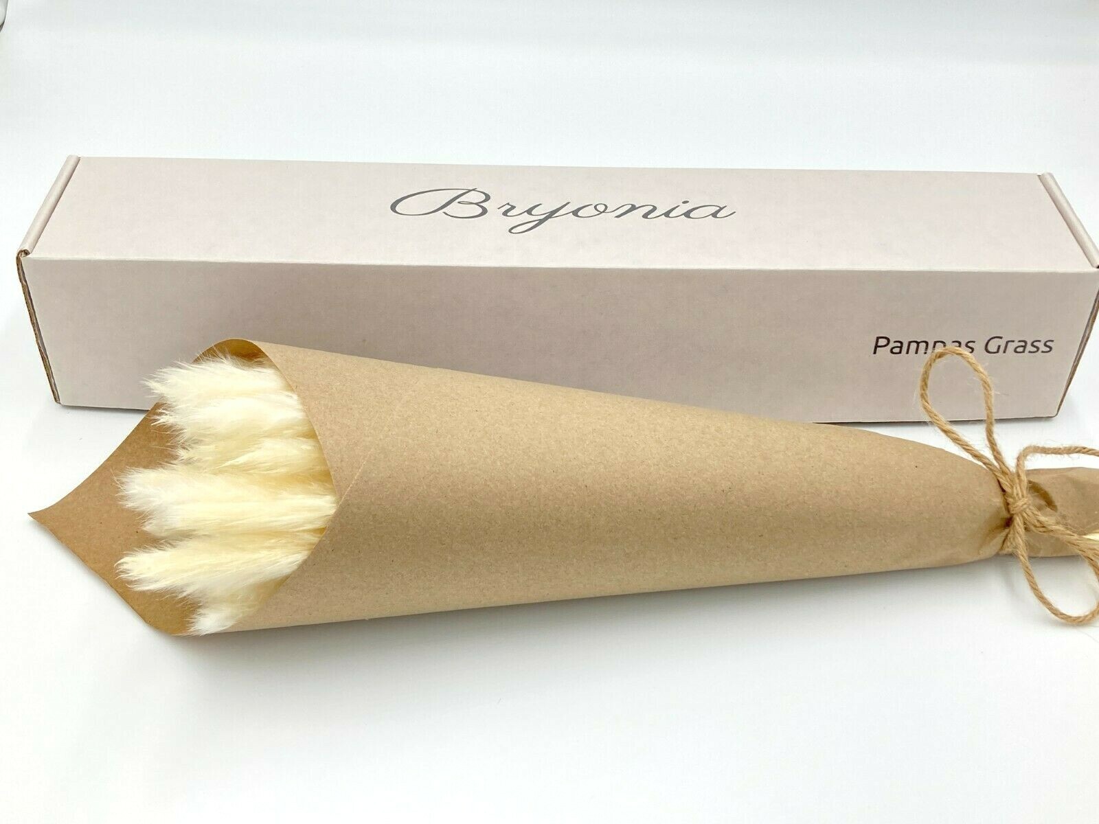 Bryonia 30pcs Natual Dried Pampas Grass for Home Decor 17inch small Pampas grass