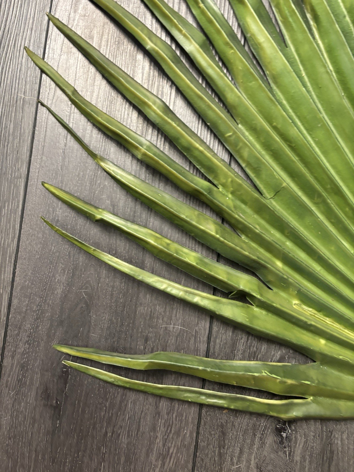 Large Fan Palm Leaf Stem 58” Tropical Boho Coastal Wedding Home Decor Prop