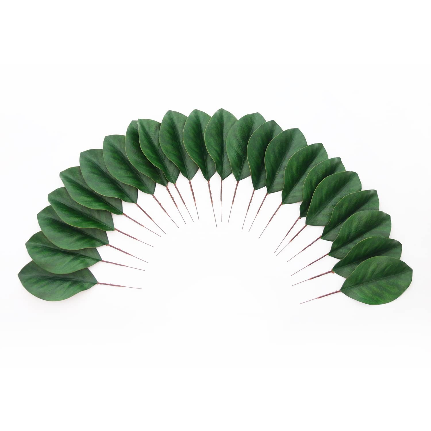 Artificial Green Magnolia Leaves Pack of 40 for Wedding Decor, Home Decor, In…