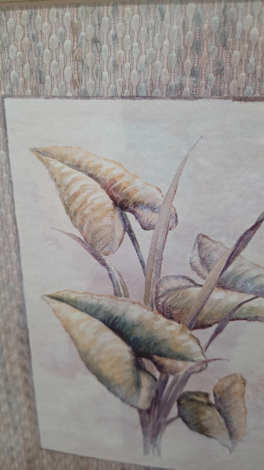 Philodendron Princess Leaves in 23″ X 19″ Gold Frame
