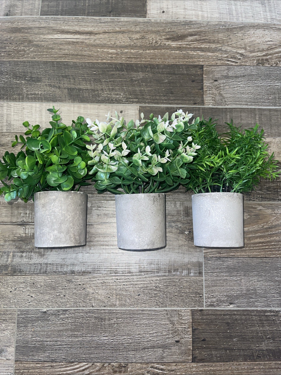 3Pcs Small Fake Plants Desktop Succulents Table Centerpiece Mini Potted -NEW