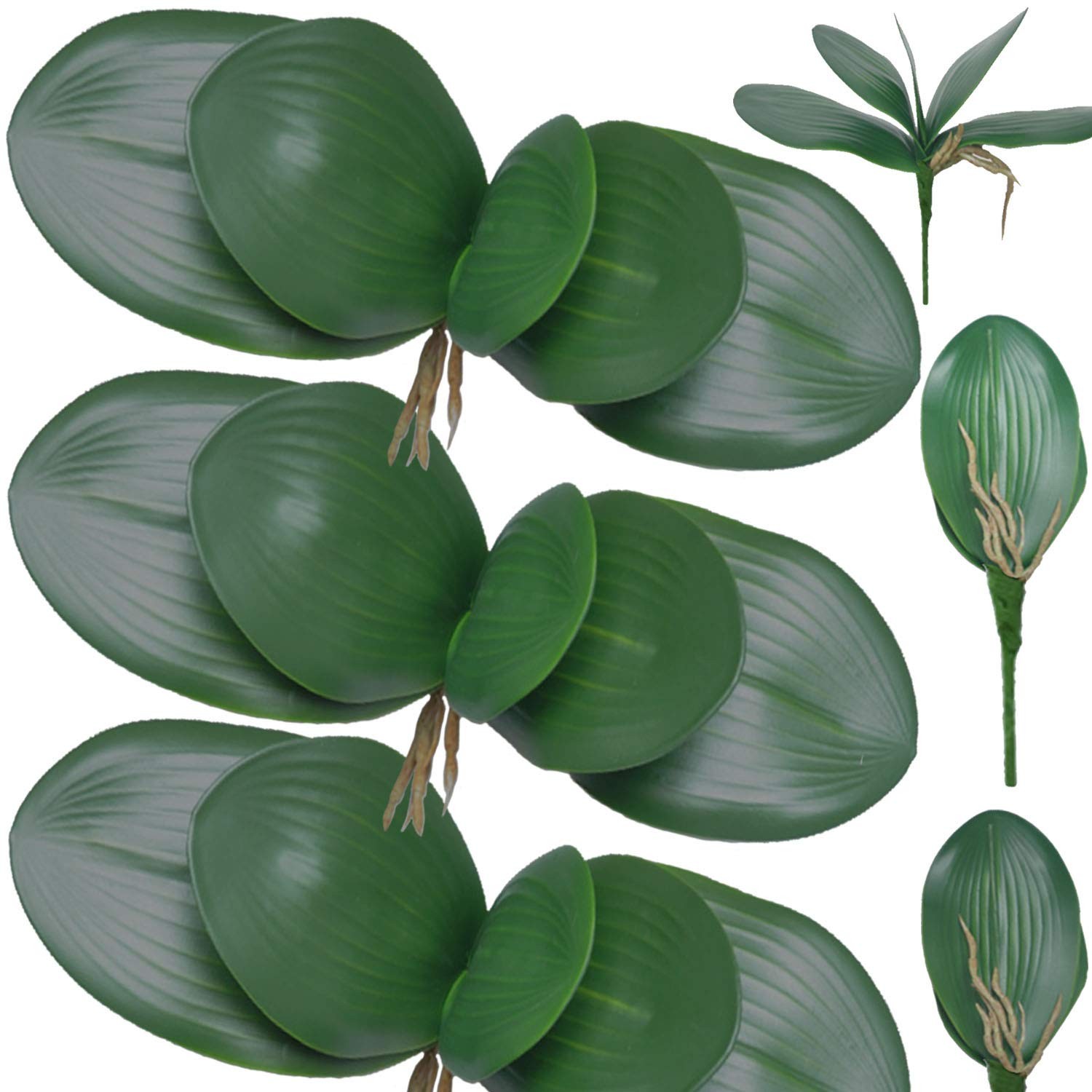 6 PCS 11 Inch Artificial Green Phalaenopsis Orchids Leaves Faux Plant Decor
