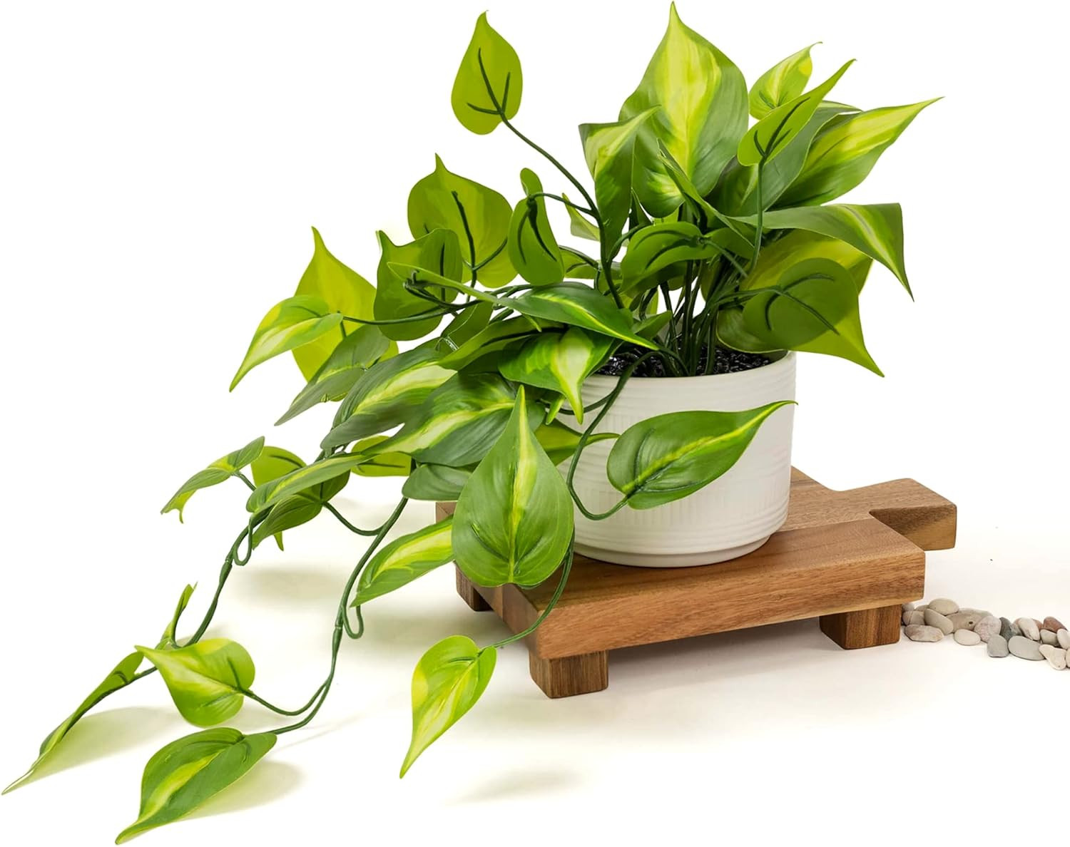 Planta Artificial Pothos Verde Oscuro Maceta Ceramica 5×3.5 Decoracion Estantes