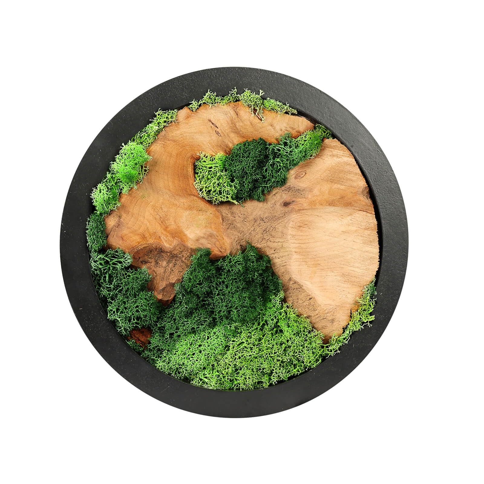 Natural Preserved Moss Wall Art Rustic Handcrafted Wood Wall Hanging No