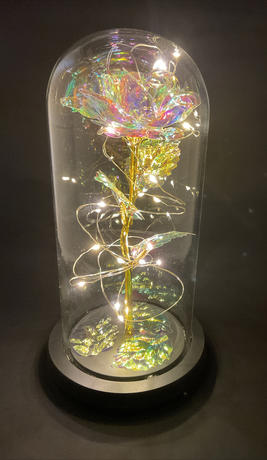 LED Lights Decor Lamp Colorful Artificial Rose Flower Gift Valentine Glass