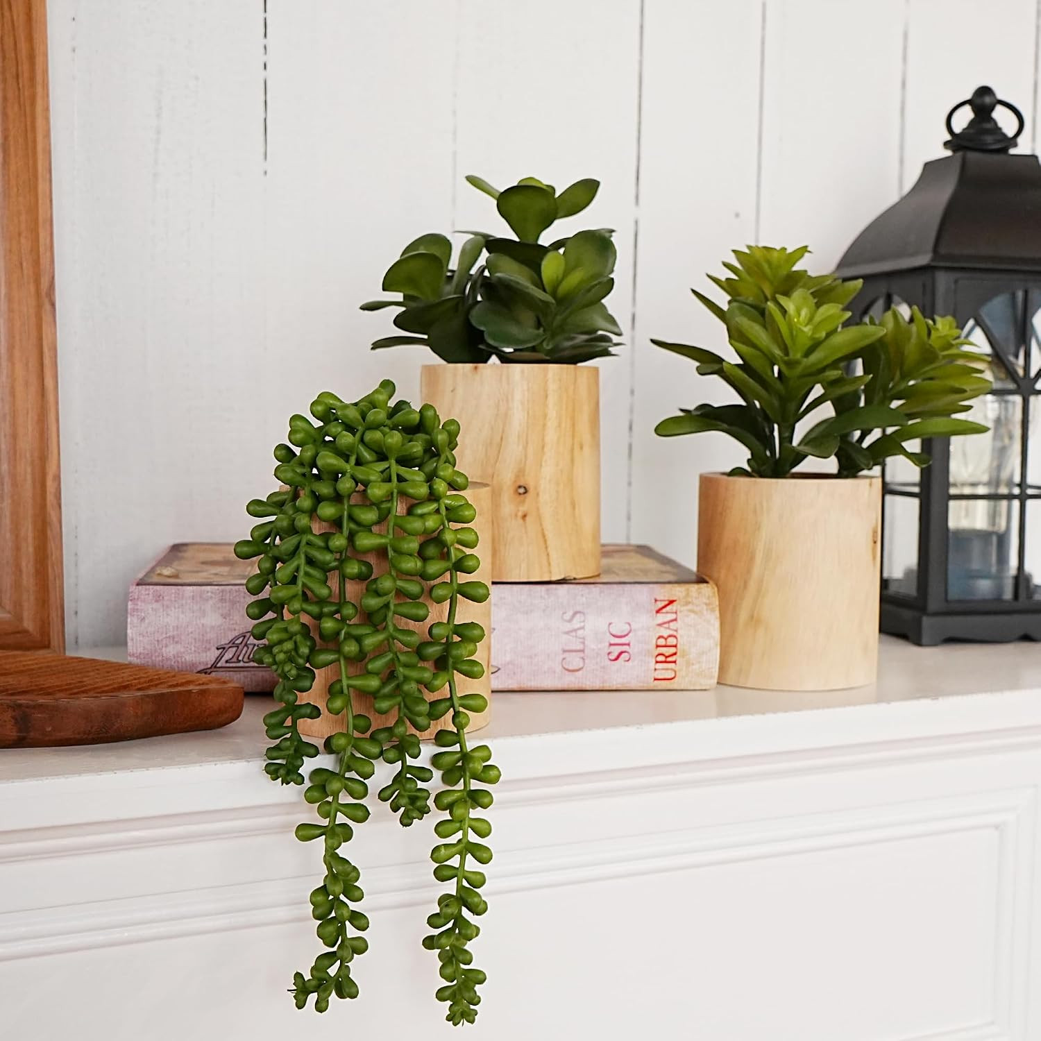 Set of 3 Artificial Succulents in Wooden Pots for Home & Office Decor