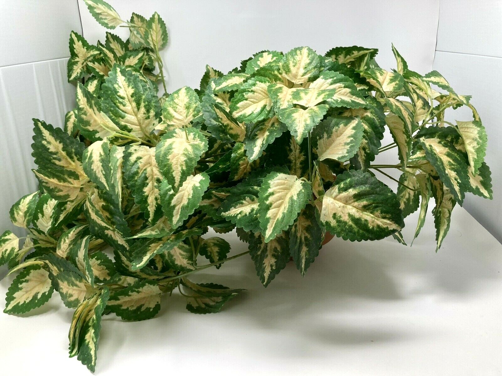 Hanging Silk Plant Natural Looking Coleus (?) Moss Terracotta Pot Tropical 36″