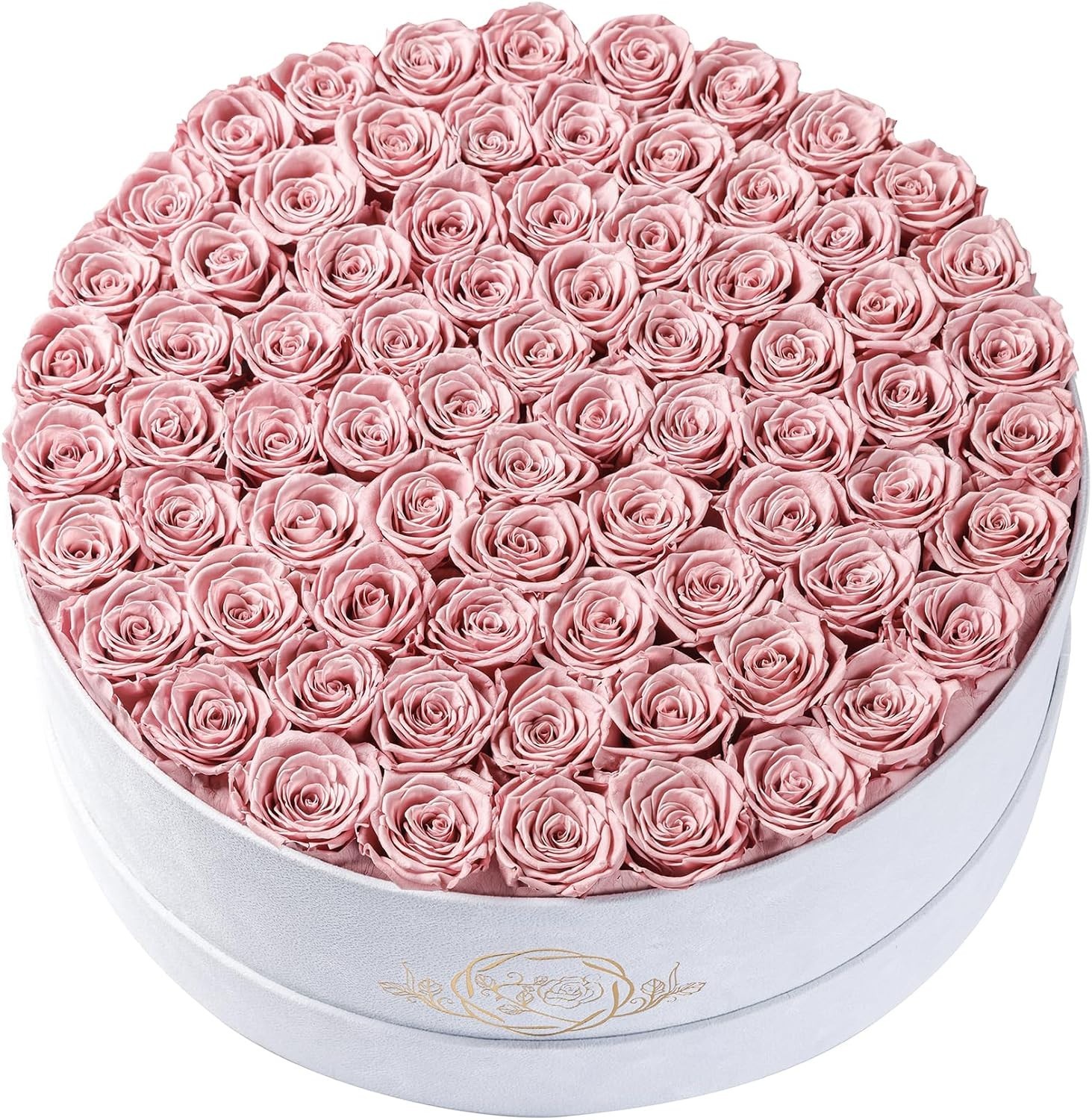 75 Preserved Roses in Suede Box – Luxury Flowers Gift