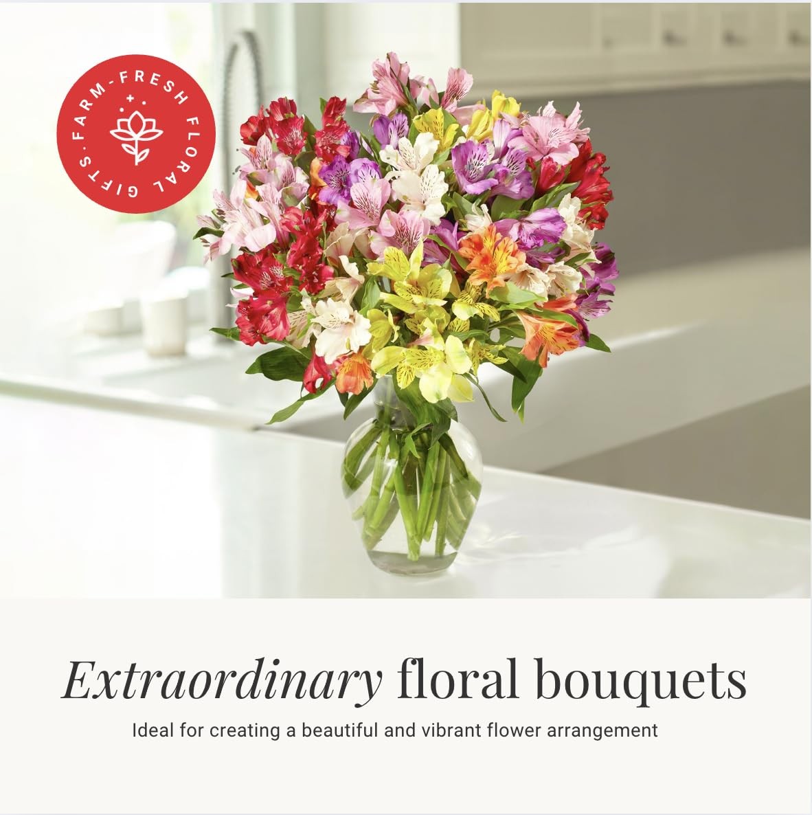 24 Multicolored Alstroemeria Bouquet Flowers, Long Lasting & Hand-Tied, Farm Fre