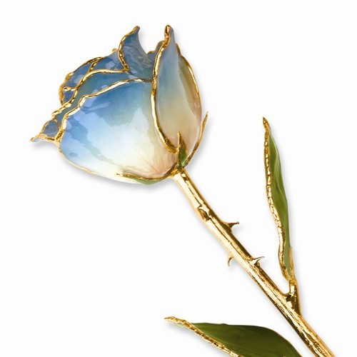Burgundy and Pink Rose 24K Yellow Gold Trimmed Lacquered Long Stem Rose 12″