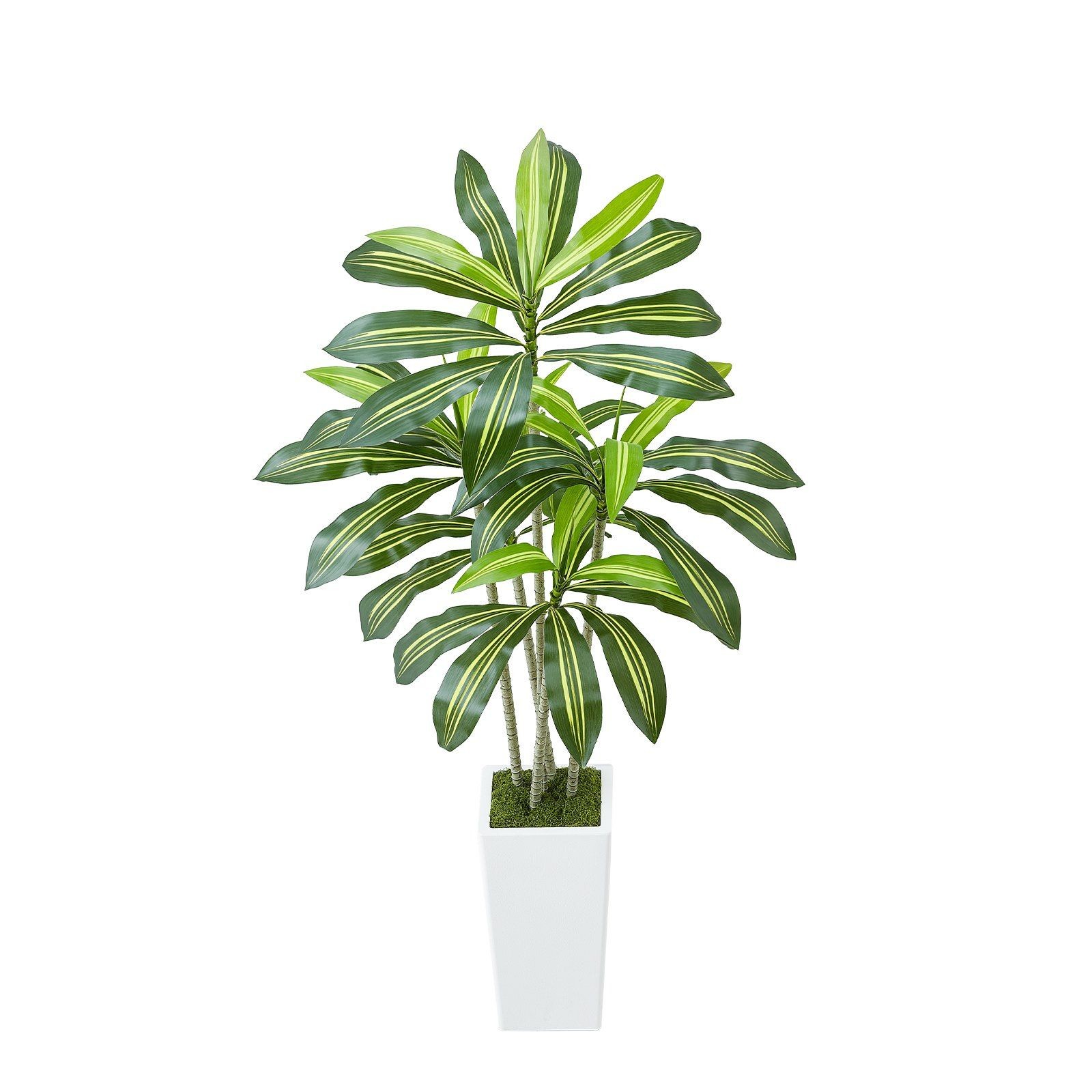 5ft Artificial Dracaena Plant with White Planter Flexible Branches Easy Clean