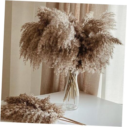30 Stems Home Decor – Natural Dried Pampas Grass, Fluffy Brown 30brown-17 Inch