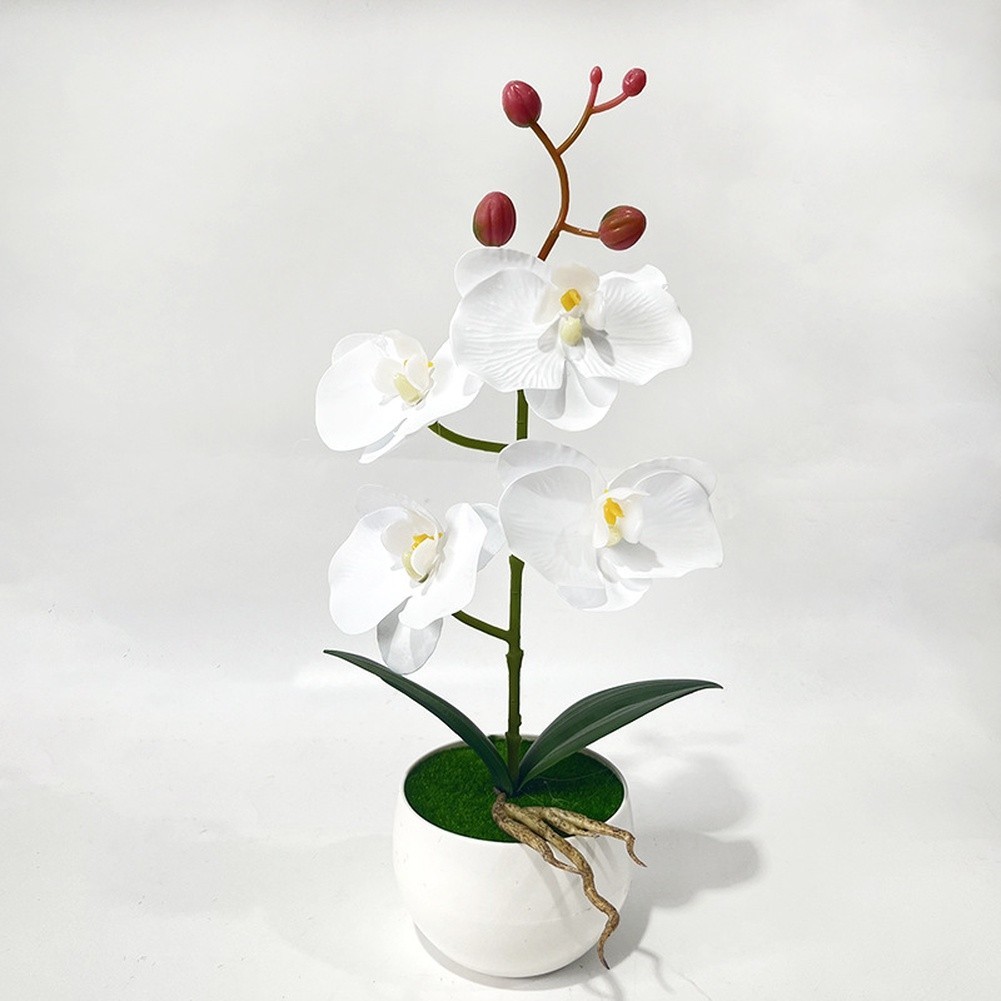 Artificial Phalaenopsis Orchid Potted Plant 12in White Purple Pink Orange