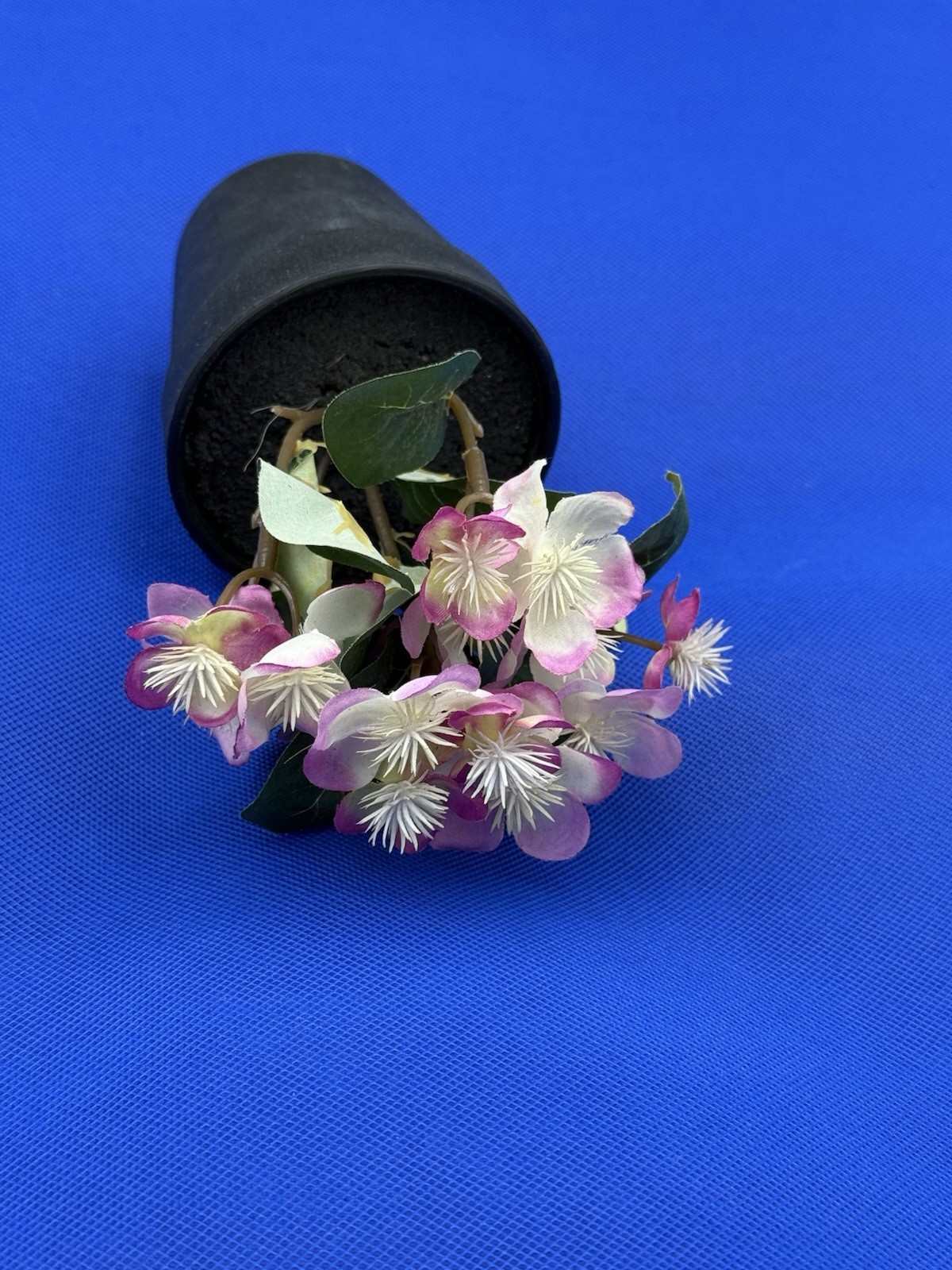 Potted Flower Lavendar preowned nice looking window table or bed flower.