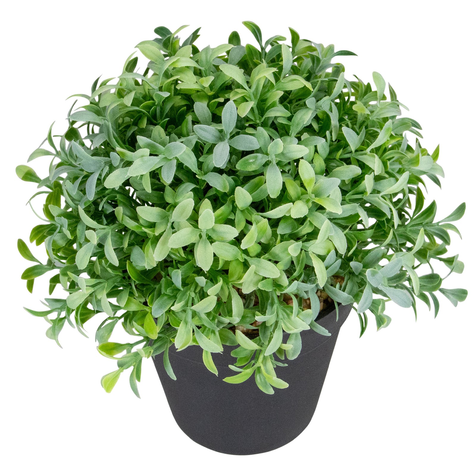 Northlight 7.5″ Potted Green Artificial Boxwood Plant in Black Pot